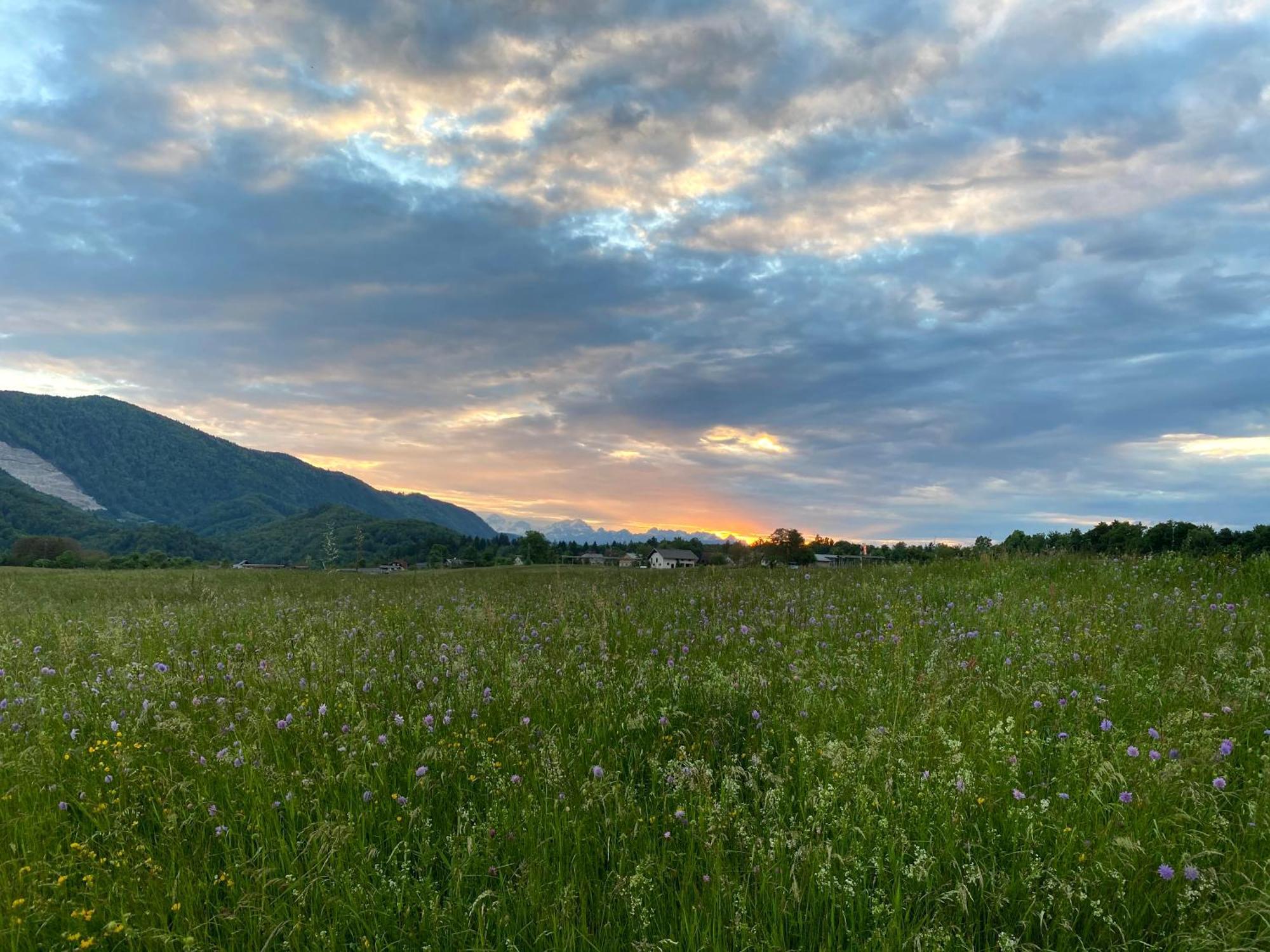 Luxury Holiday Home Near Lake Bled & The Alps Kropa Luaran gambar